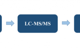 LC-MS/MS二级质谱测序